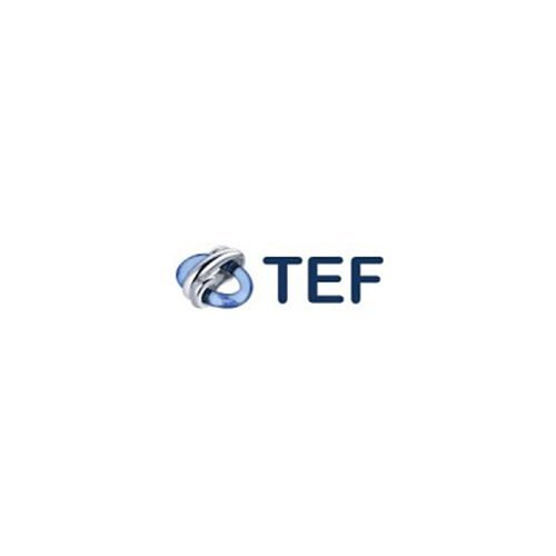 TEF INT RS422 P2P-S Module Addressable Accs