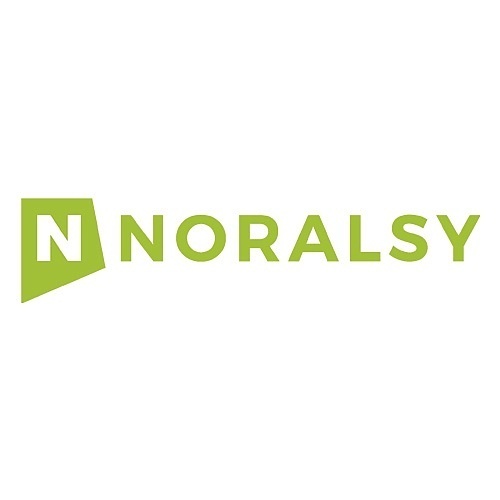 Noralsy KCP8-G Mifare 13,56 MHz badge sleutelformaat, Grijs