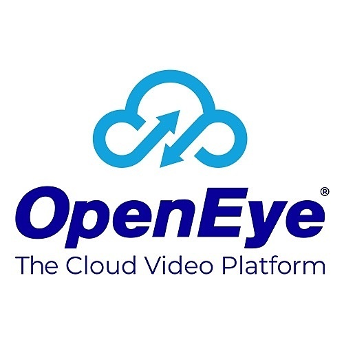 OpenEye OE-ZPERFUPRAM-8-P 8GB RAM Upgrade, Platinum